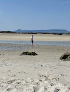 IMG_2602.jpeg