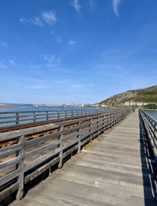 IMG_3266.jpeg